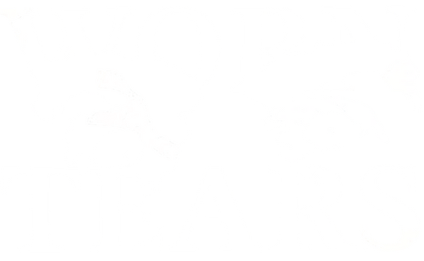WORNTEARS
